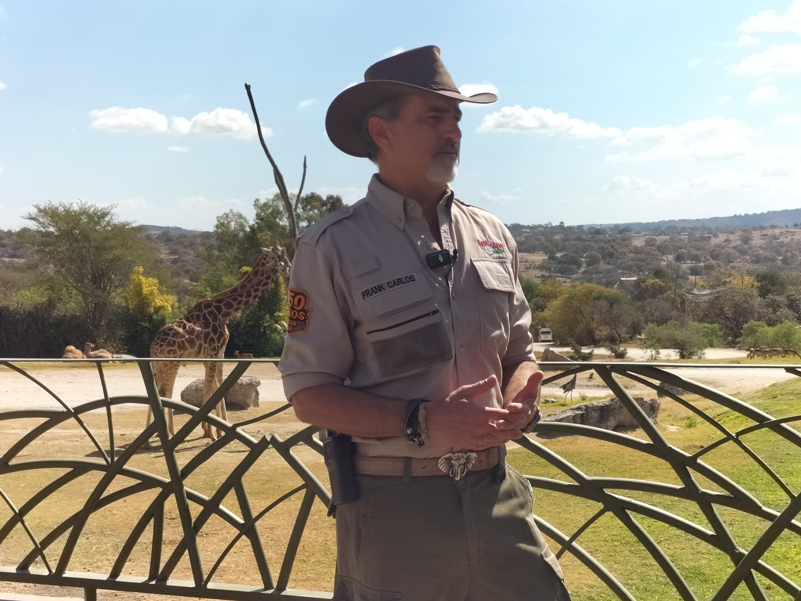 La jirafa Benito será un semental en Africam Safari
