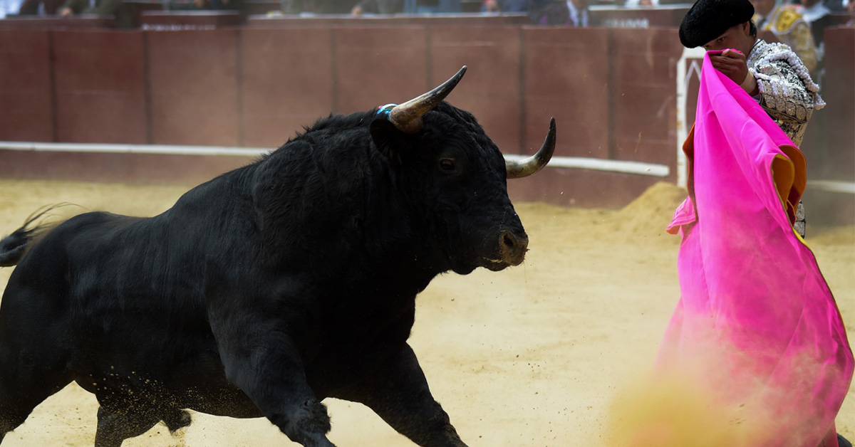 Concede jueza federal suspensión a corridas de toros en Plaza México
