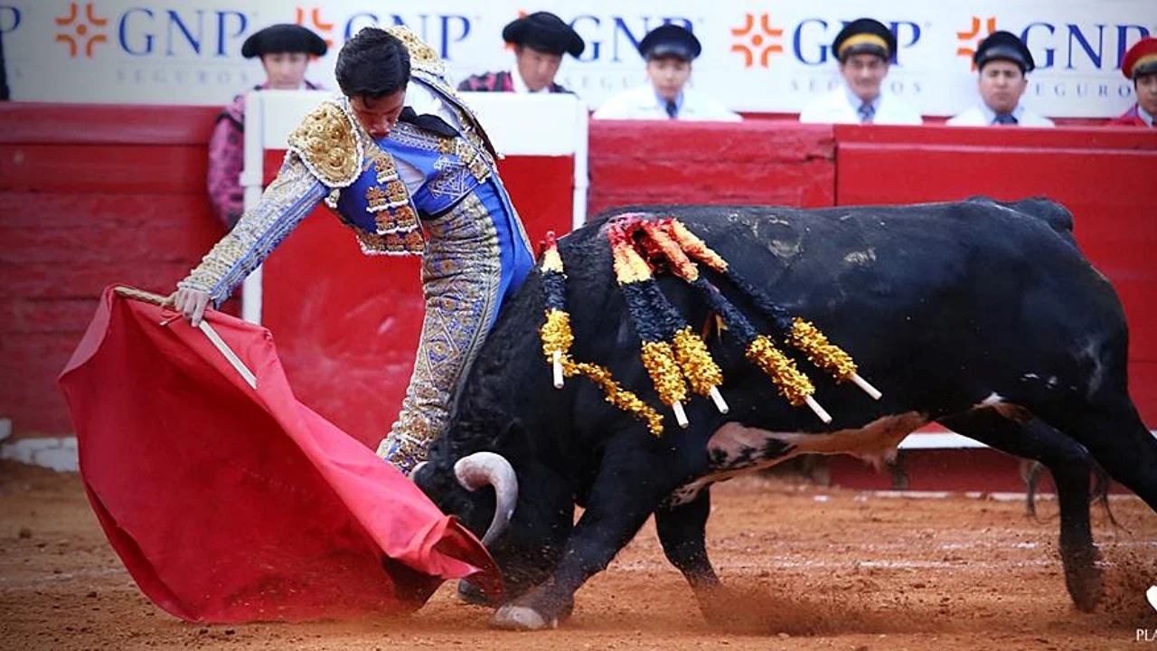 Aceptan queja contra suspender corridas de toros
