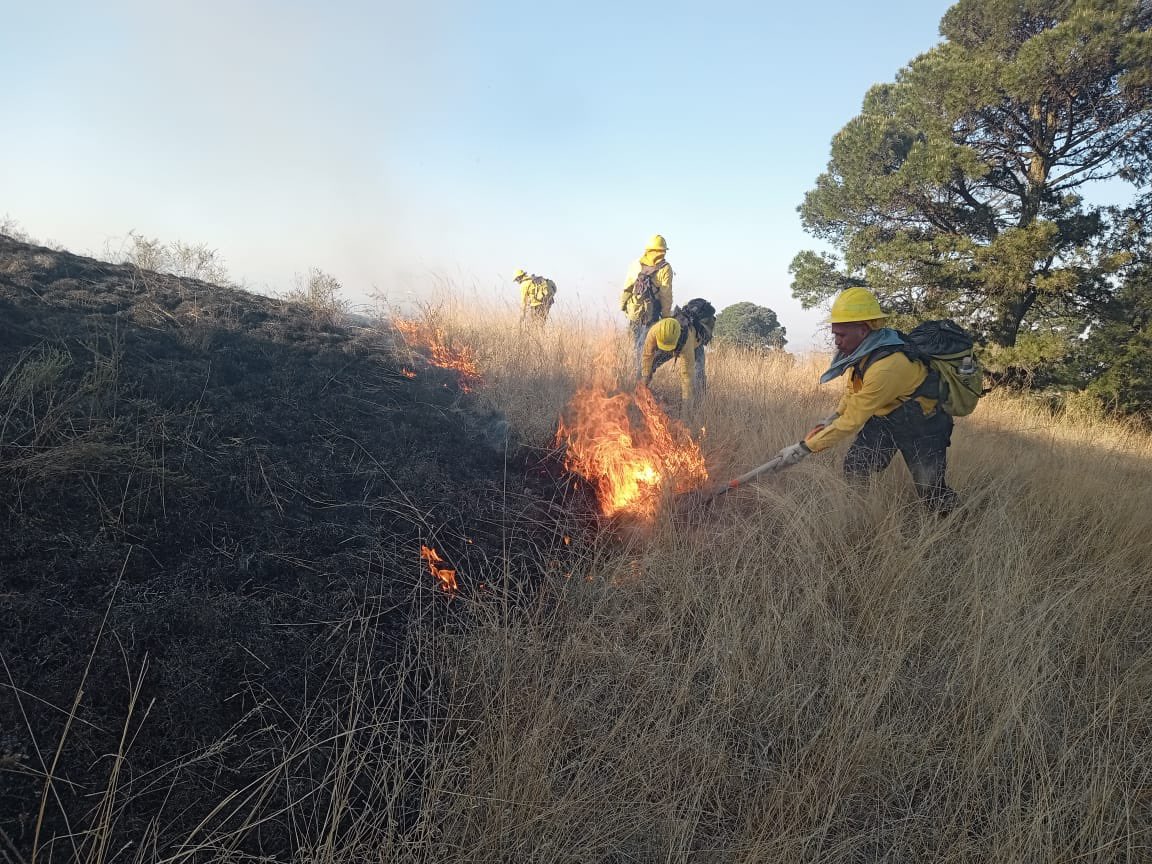Liquidan incendio del cerro Zapotecas