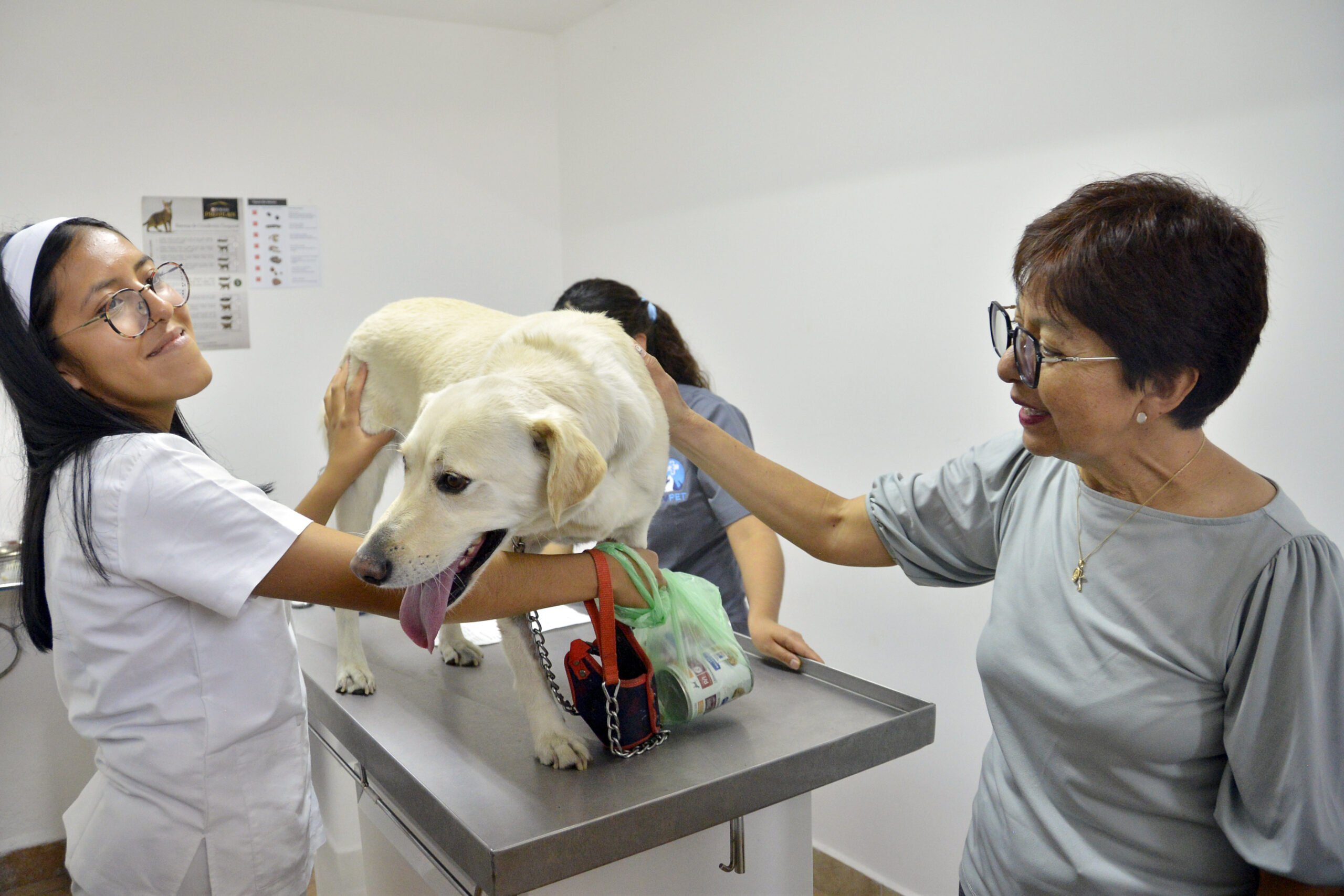 Inaugura rectora Cedillo auditorio de posgrado y cubículos para docentes en Veterinaria