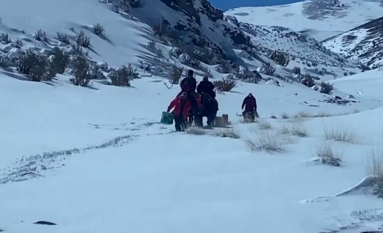 Rescatan a pareja perdida en cordillera nevada de Chile