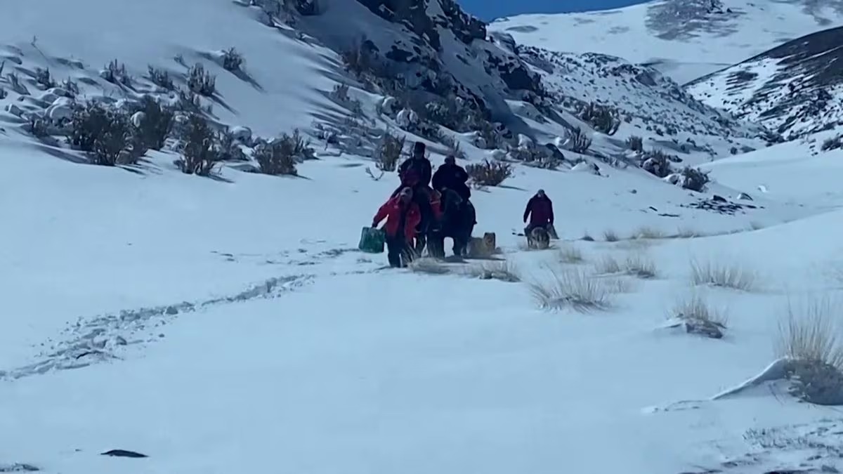 Rescatan a pareja perdida en cordillera nevada de Chile 
