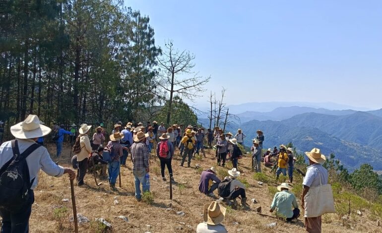 Controlan al 80% incendio en Coyomeapan