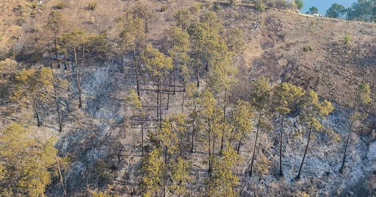 Liquidan al 50% incendio forestal en Zacatlán