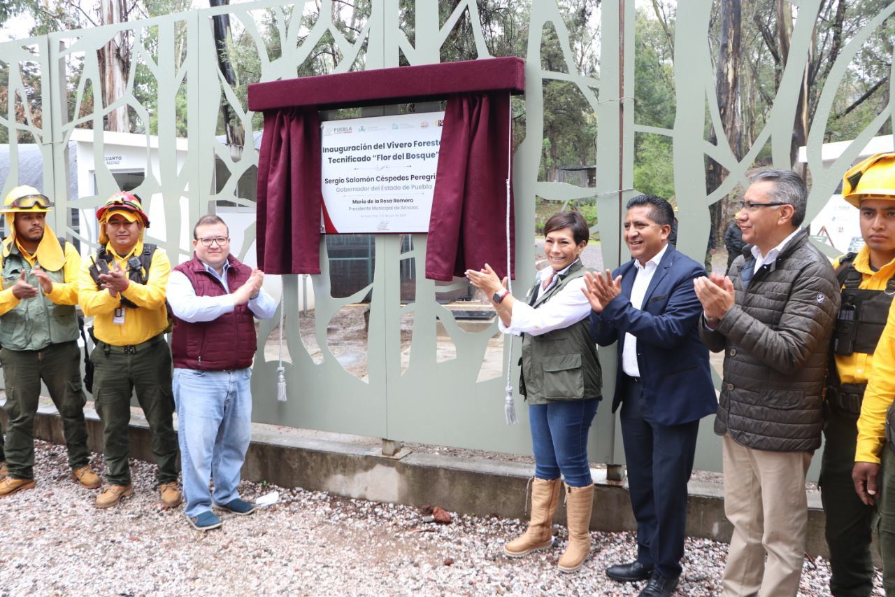 Producirá vivero “Flor del Bosque” 200 mil plantas anualmente: Medio Ambiente