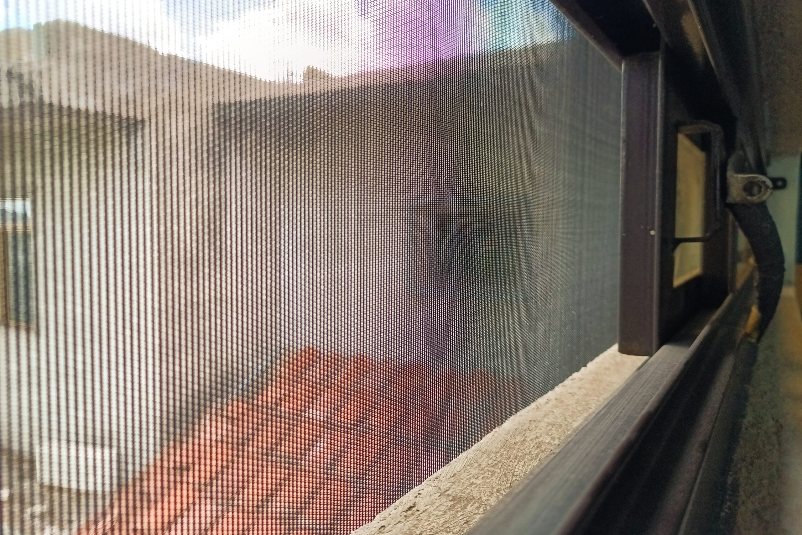 En Puebla, nueve personas hospitalizadas por dengue: Salud