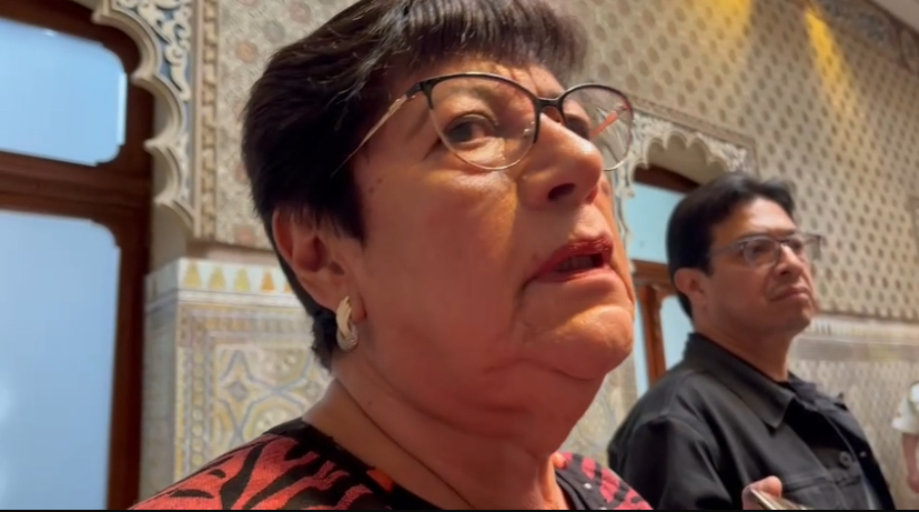 Silva Tanus a favor de despenalizar el aborto