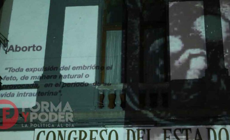 Organizaciones provida se manifiestan en el Congreso