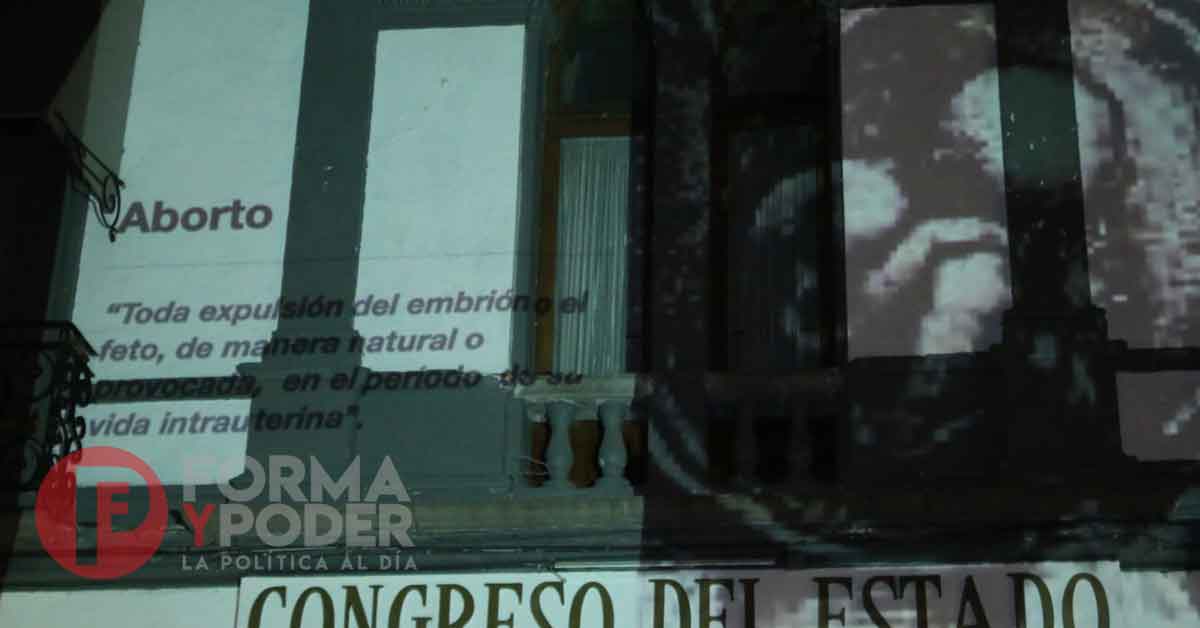Organizaciones provida se manifiestan en el Congreso