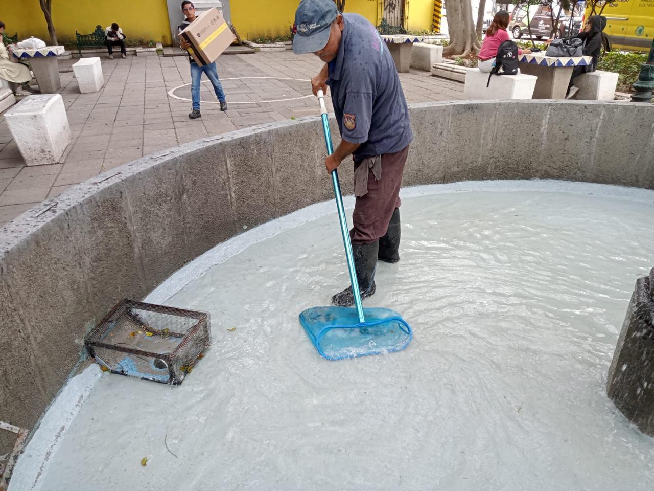 Da Ayuntamiento de Puebla mantenimiento en parques y jardines