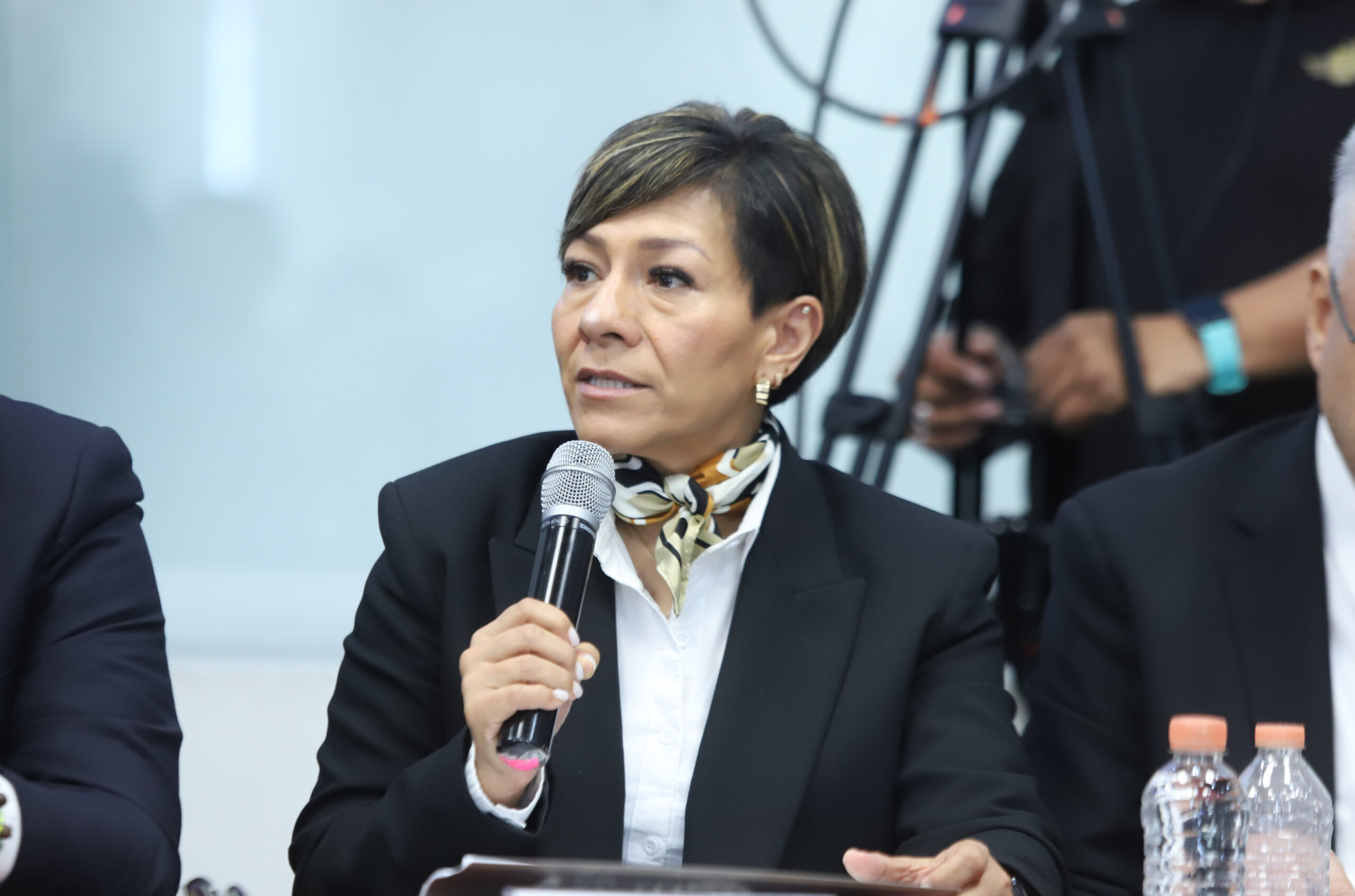 Restaura gobierno estatal 6 mil 242 hectáreas con plan de reforestación