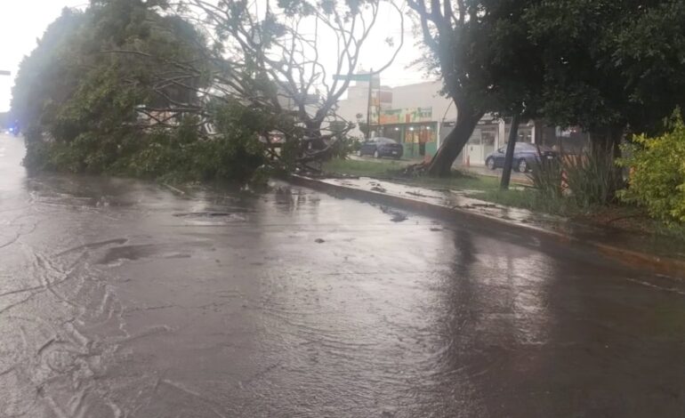 Lluvias dejan afectaciones en la capital