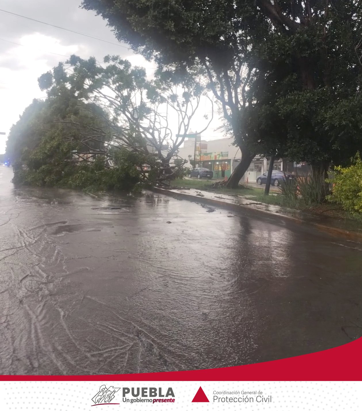Lluvias dejan afectaciones en la capital