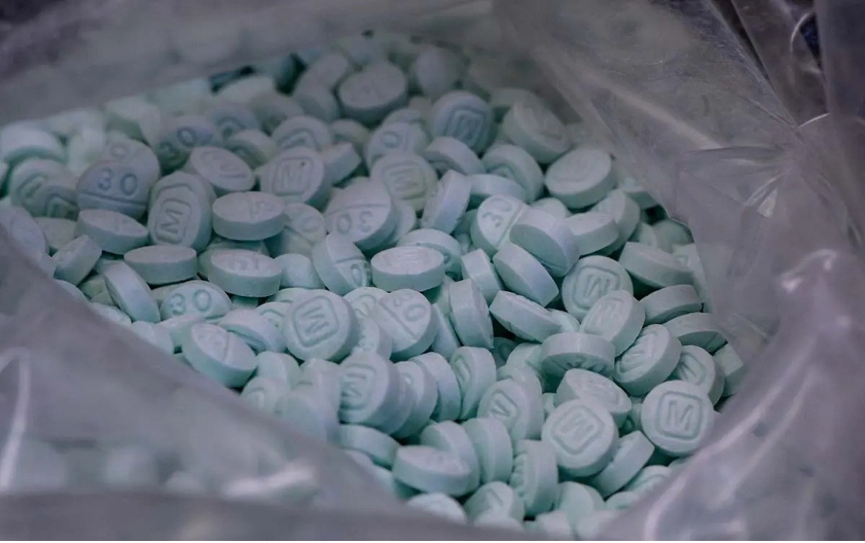 Decomisan 500 mil pastillas de fentanilo en Sonora