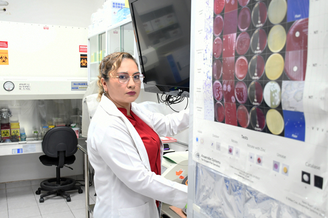 Estudia investigadora BUAP factores de virulencia en bacteria causante de diarreas infantiles