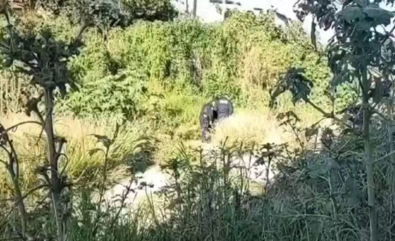 Hallan cadáver embolsado en la autopista