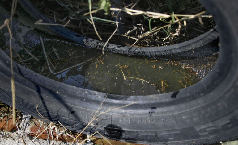 Reporta Salud 79 municipios de Puebla con casos de dengue