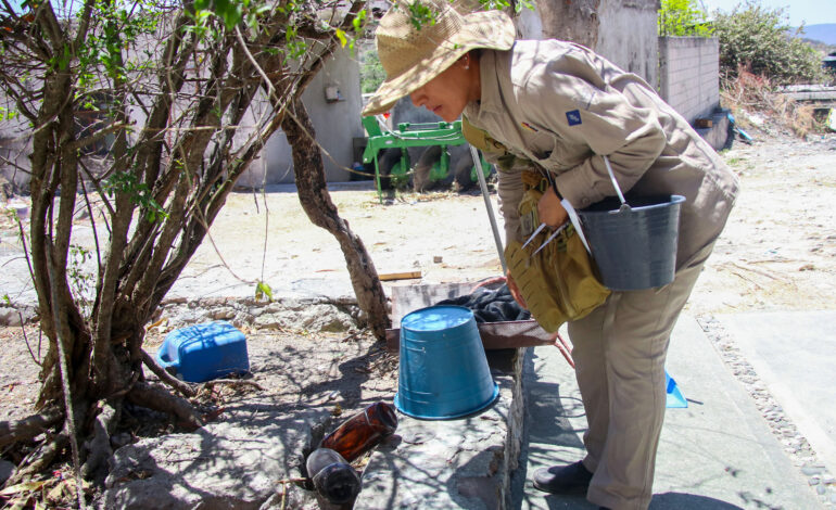 Puebla, sin contagios ni defunciones por dengue en últimas 24 horas