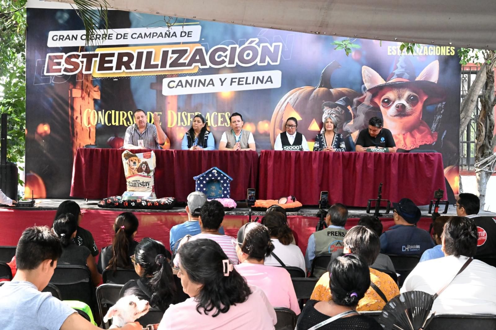 Éxito en la campaña de esterilización en Cuautla