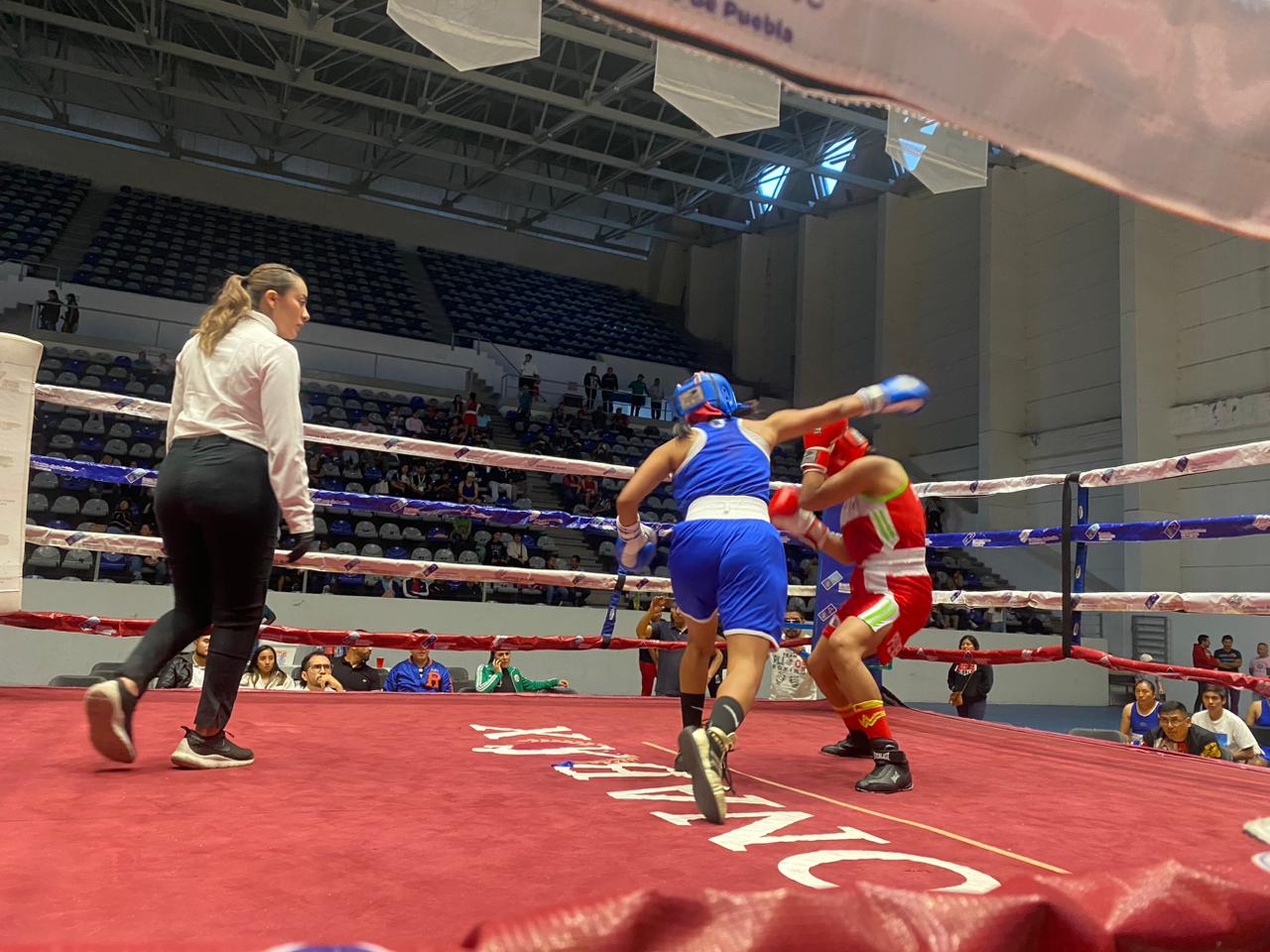 Torneo Guantes de Oro Puebla 2024: la recta final