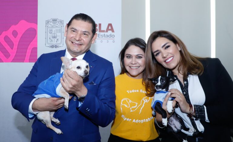 Anuncia Alejandro Armenta la construcción del Centro de Atención Animal