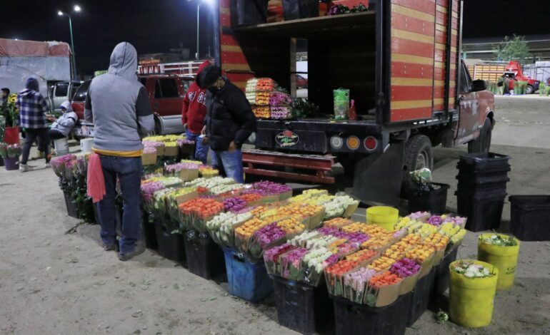 Mercado de Flores de Villa Frontera se prepara para el 14 de febrero