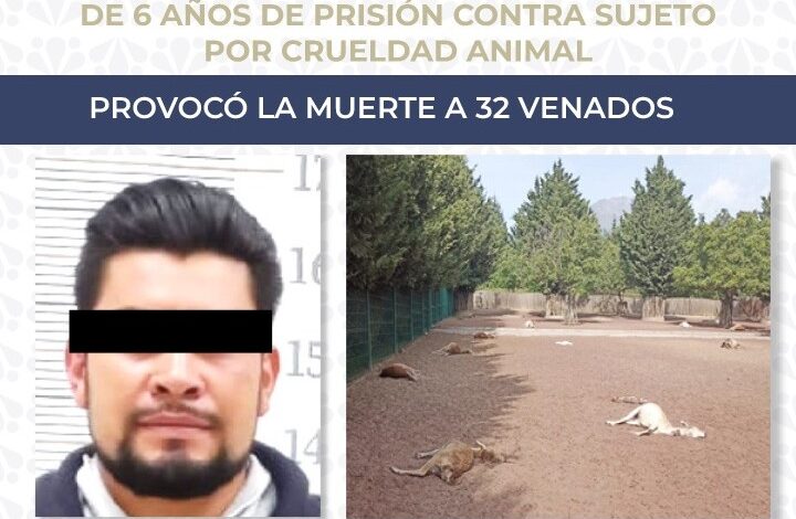 Sentencian a seis años de prisión a un hombre por matar a 32 venados en Puebla