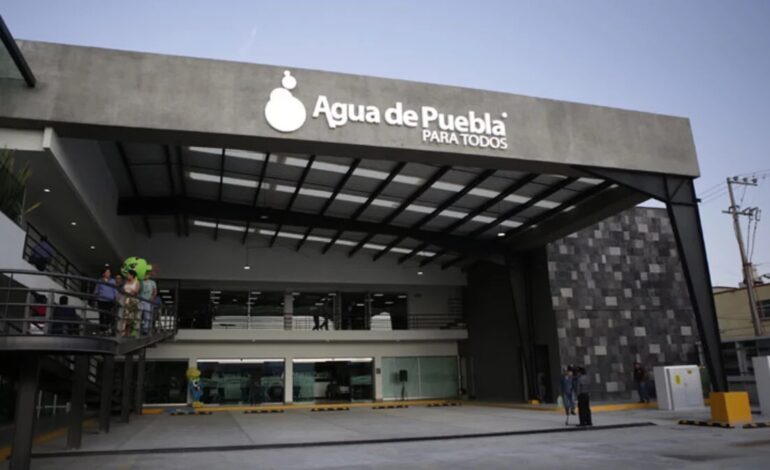 ¿Servicios o negocios?