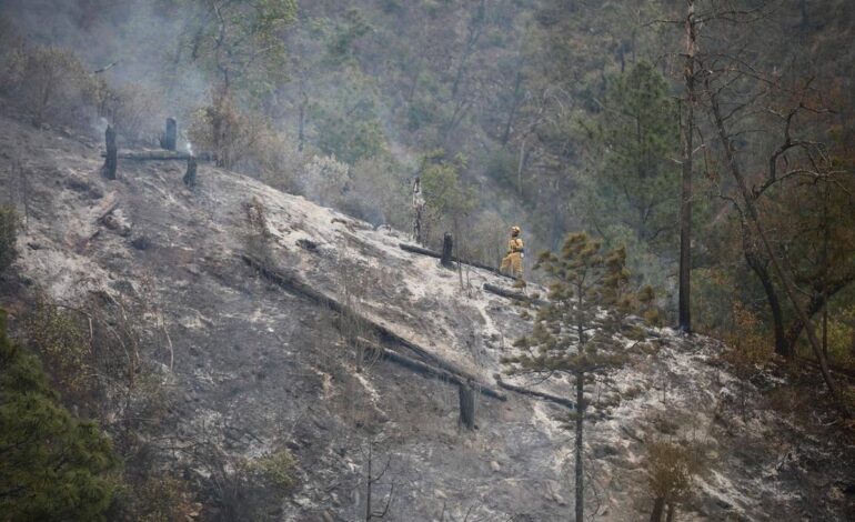Cae camioneta a barranco y genera incendio forestal en NL