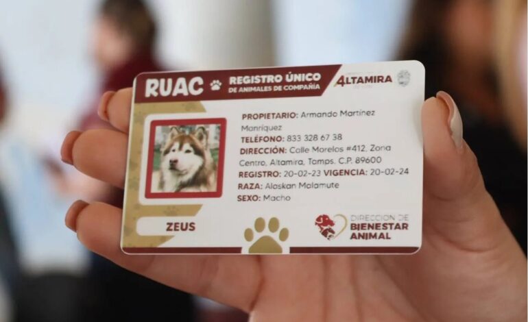 Aplican multa por no sacar «CURP» de mascotas