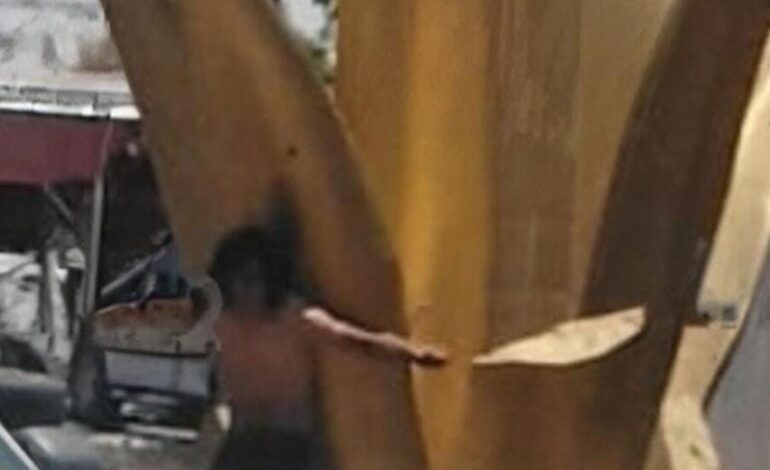 Amarran a supuesto ladrón al «Maguey» en Misiones de San Francisco