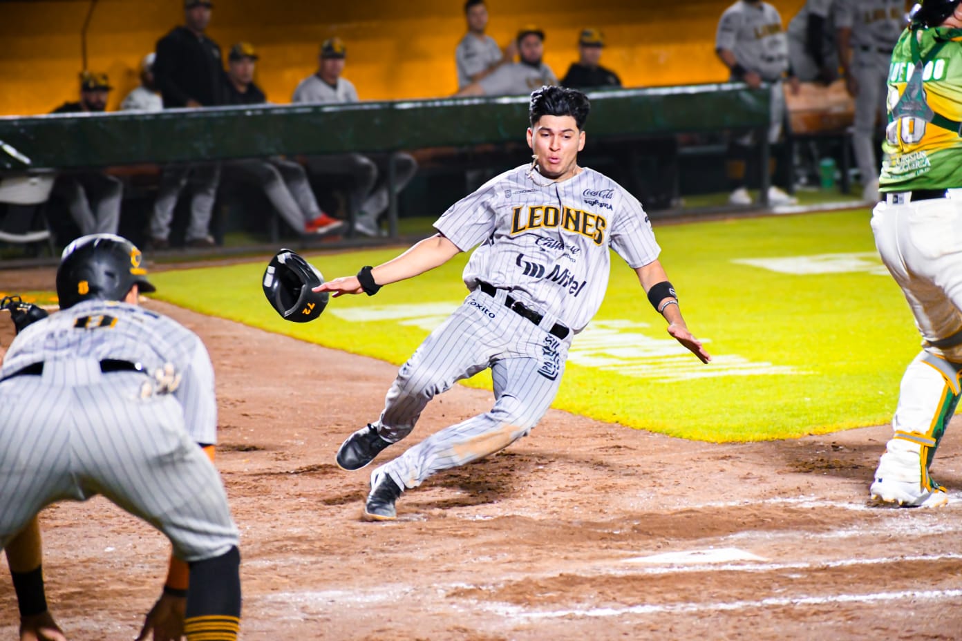 Los Leones frenan la racha de Pericos y se llevan el último de la serie