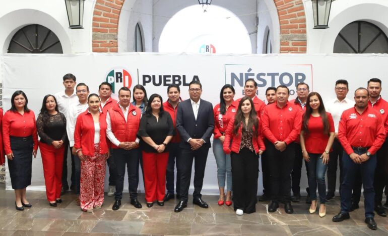Programas y acciones del PRI protegen a las madres mexicanas: Néstor Camarillo