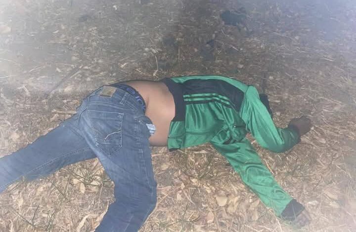 Motociclista muere tras derrapar en la autopista México–Puebla