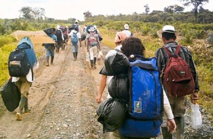 Hay más de 120 millones de desplazados