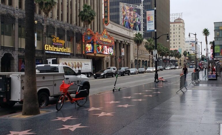 Miley Cyrus, Lucero, Timothée Chalamet, Intocable, entre otros, brillarán en el Paseo de la Fama