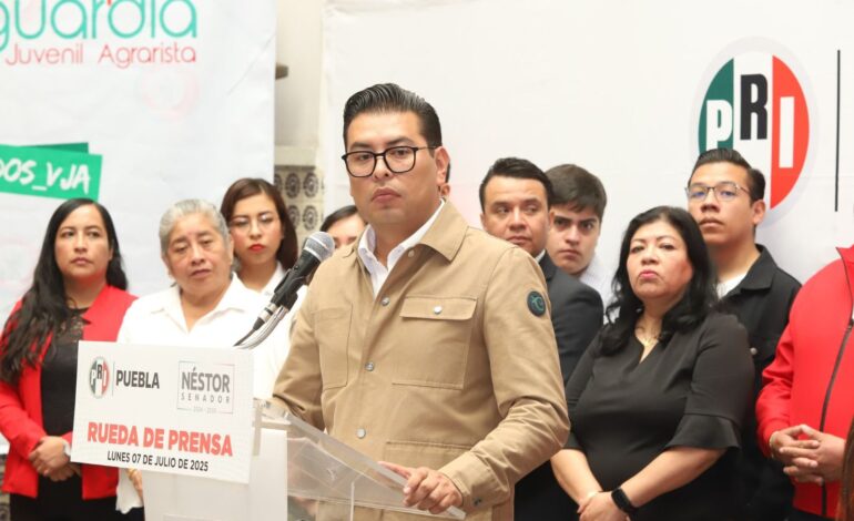 El PRI, la única oposición real que queda en México: Néstor Camarillo