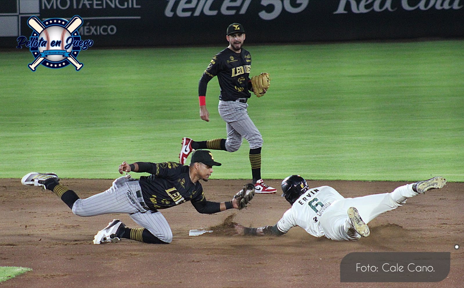 Pericos somete 6-3 a Leones y se acerca a la calificación