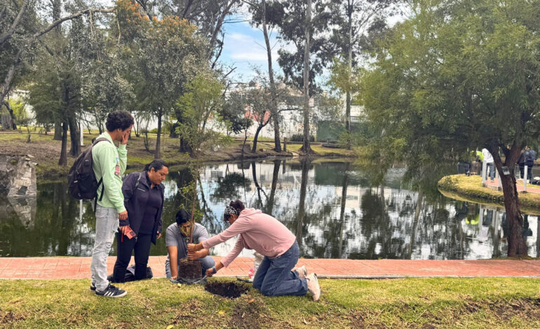 Raíces que nos unen: BUAP siembra ahuehuetes en Ciudad Universitaria