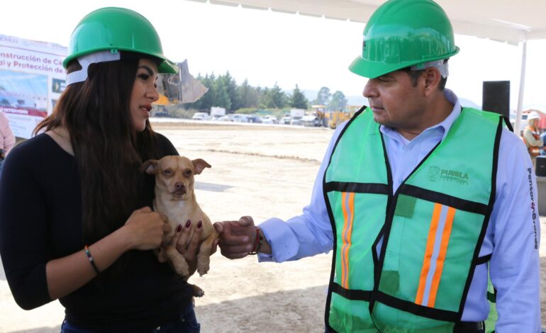 Seres sintientes requieren cuidado, no compras impulsivas: Gobierno de Puebla.