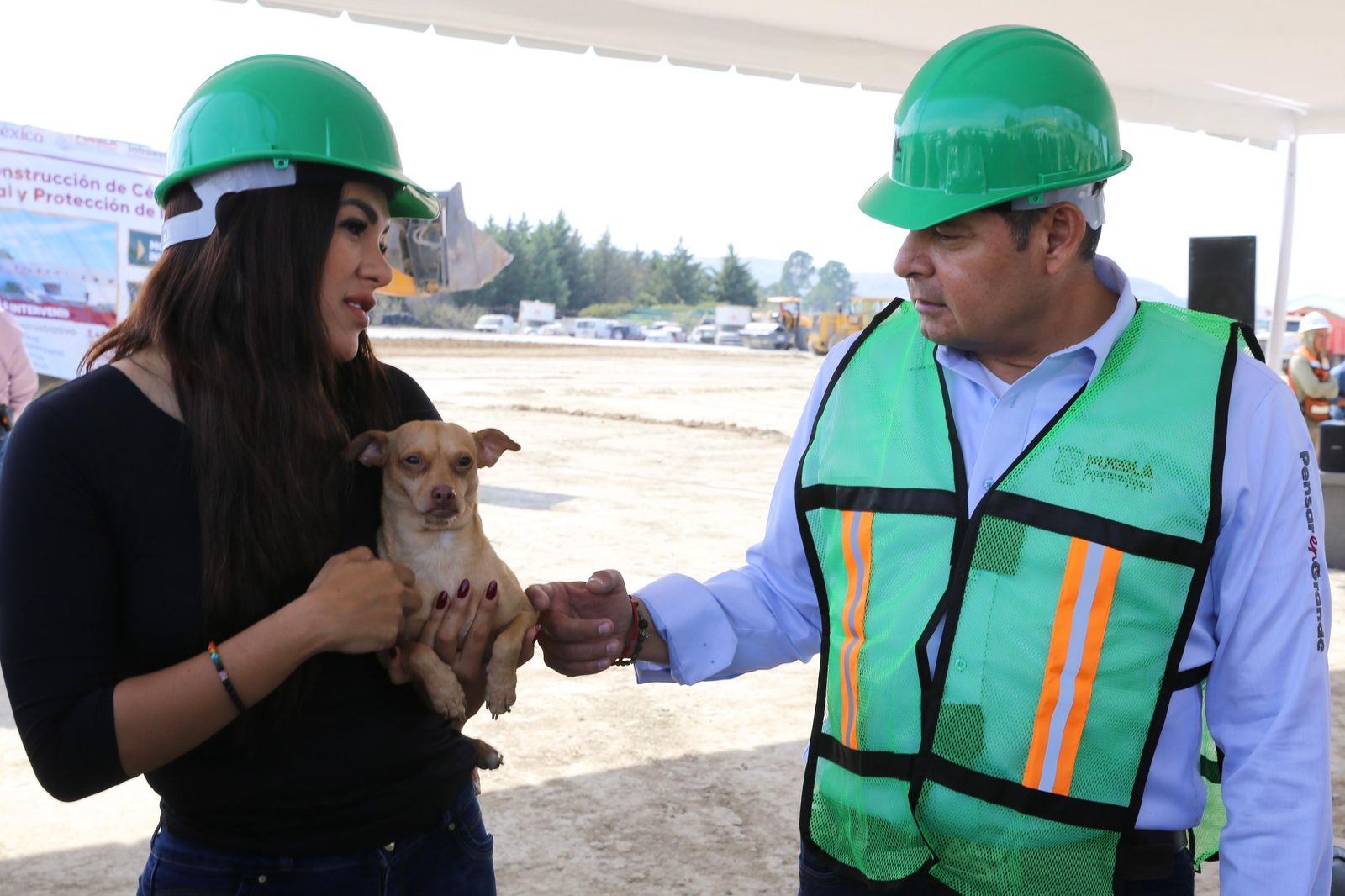 Seres sintientes requieren cuidado, no compras impulsivas: Gobierno de Puebla.