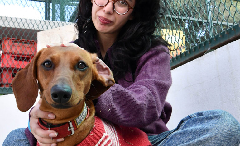 CAETO, un espacio que preserva el bienestar de sus coterapeutas caninos