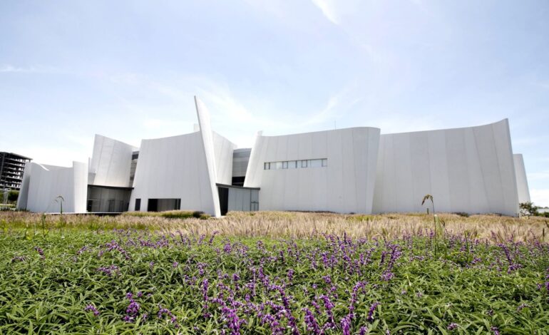 Universidad de las Bellas Artes abrirá inscripciones en Puebla