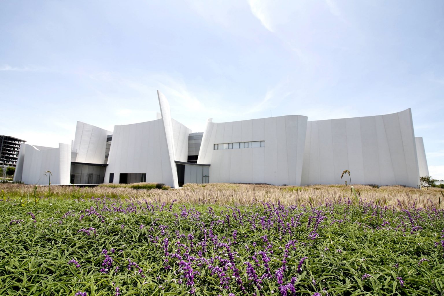 Universidad de las Bellas Artes abrirá inscripciones en Puebla