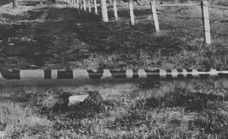 Localizan restos humanos en pastizal en la colonia Guadalupe Victoria Valsequillo