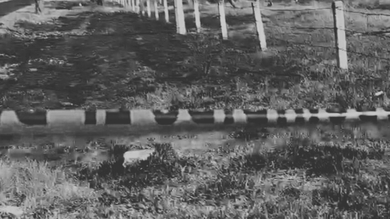 Localizan restos humanos en pastizal en la colonia Guadalupe Victoria Valsequillo