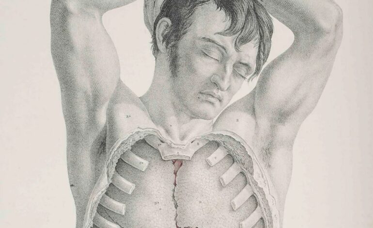 La otra cara del arte anatómico: cuerpos, poder y ética en cinco siglos de ilustraciones médicas