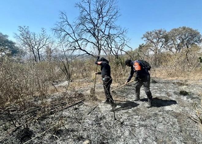 Policía Estatal Forestal controla incendios en Libres y San Pedro Cholula