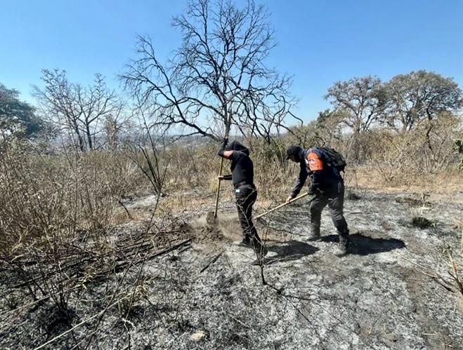 Policía Estatal Forestal controla incendios en Libres y San Pedro Cholula